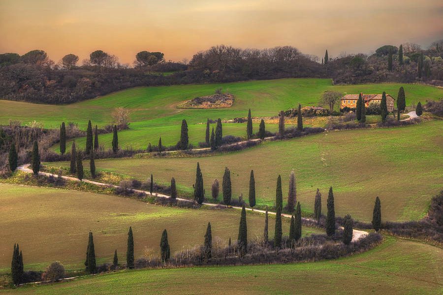 Cypress Lined Roads