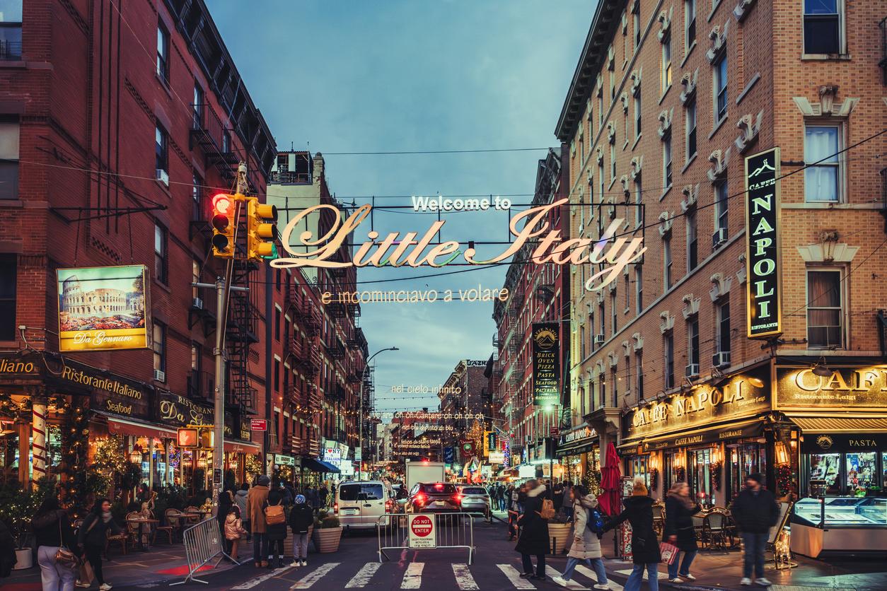 Chinatown and Little Italy Food Tour
