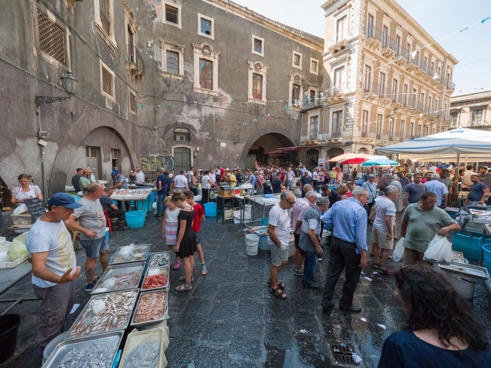Your Catania Street Food Tour at a Glance