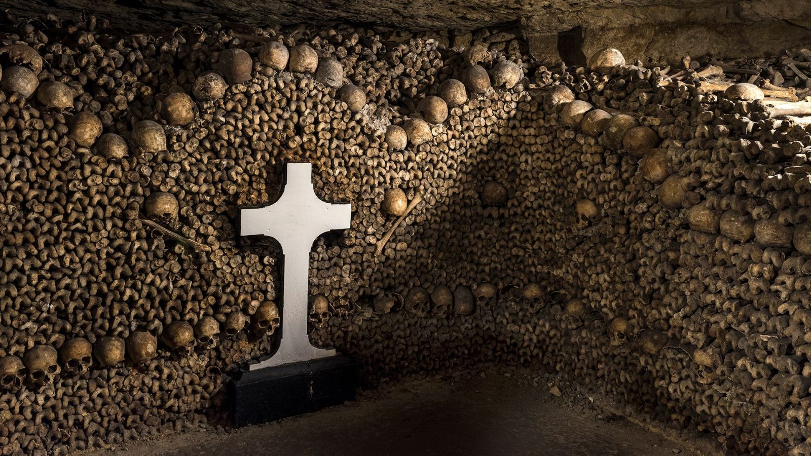 Paris Catacombs and Seine River Cruise Combined