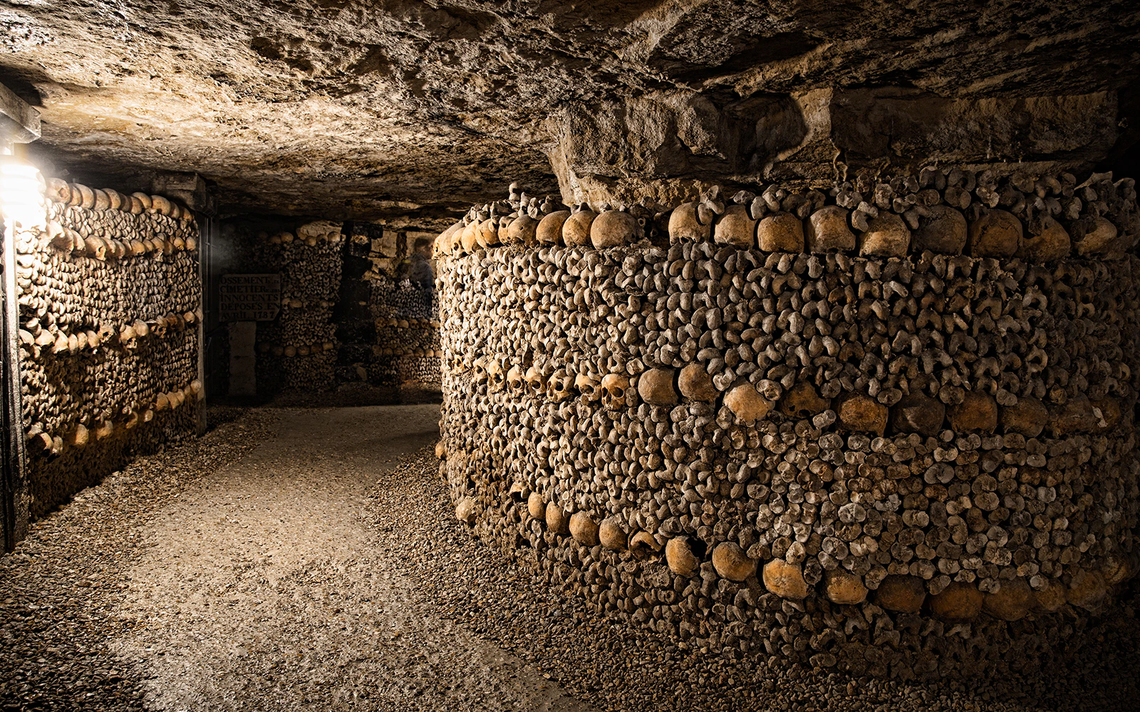 Paris Catacombs and Seine River Cruise