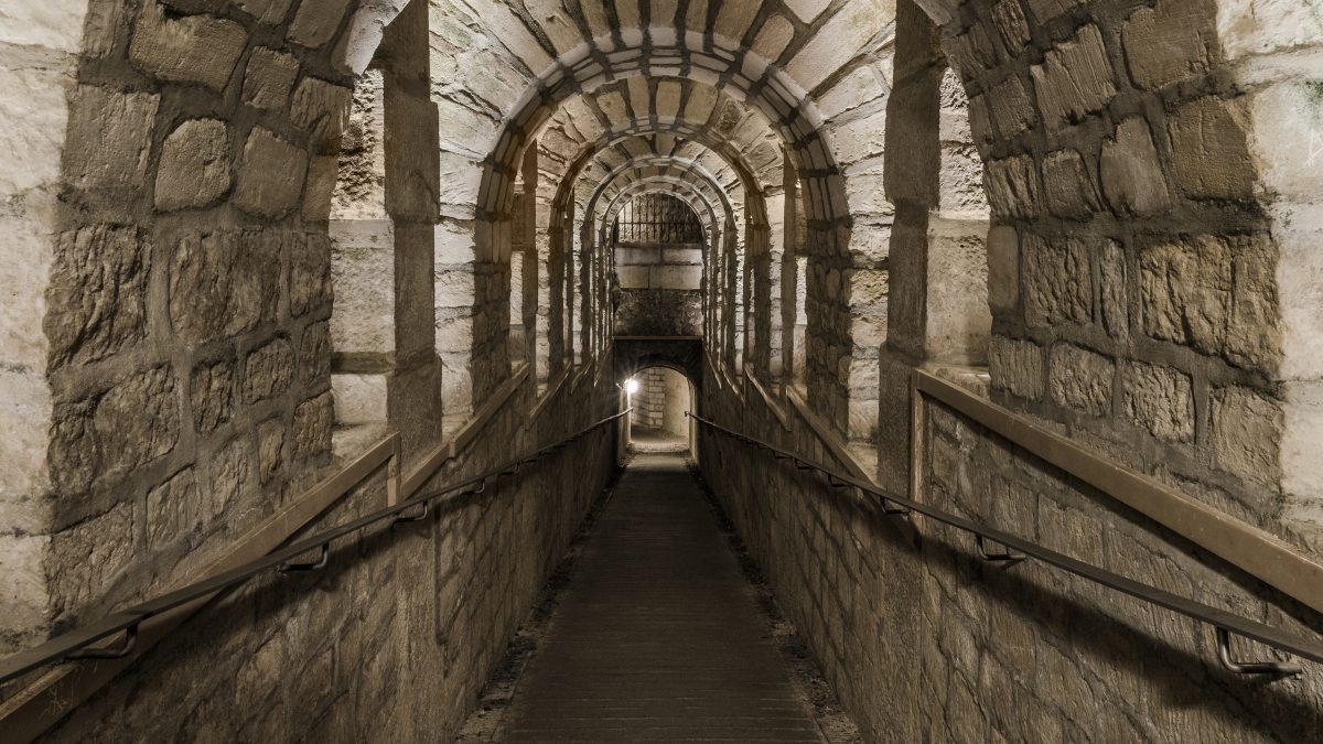 Your experience at Paris Catacombs and Seine River Cruise