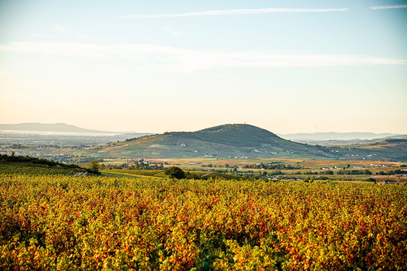 Beaujolais Wine Tour From Lyon