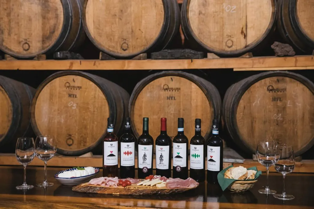 Wine Tasting & Vineyard Tours in Sorrento
