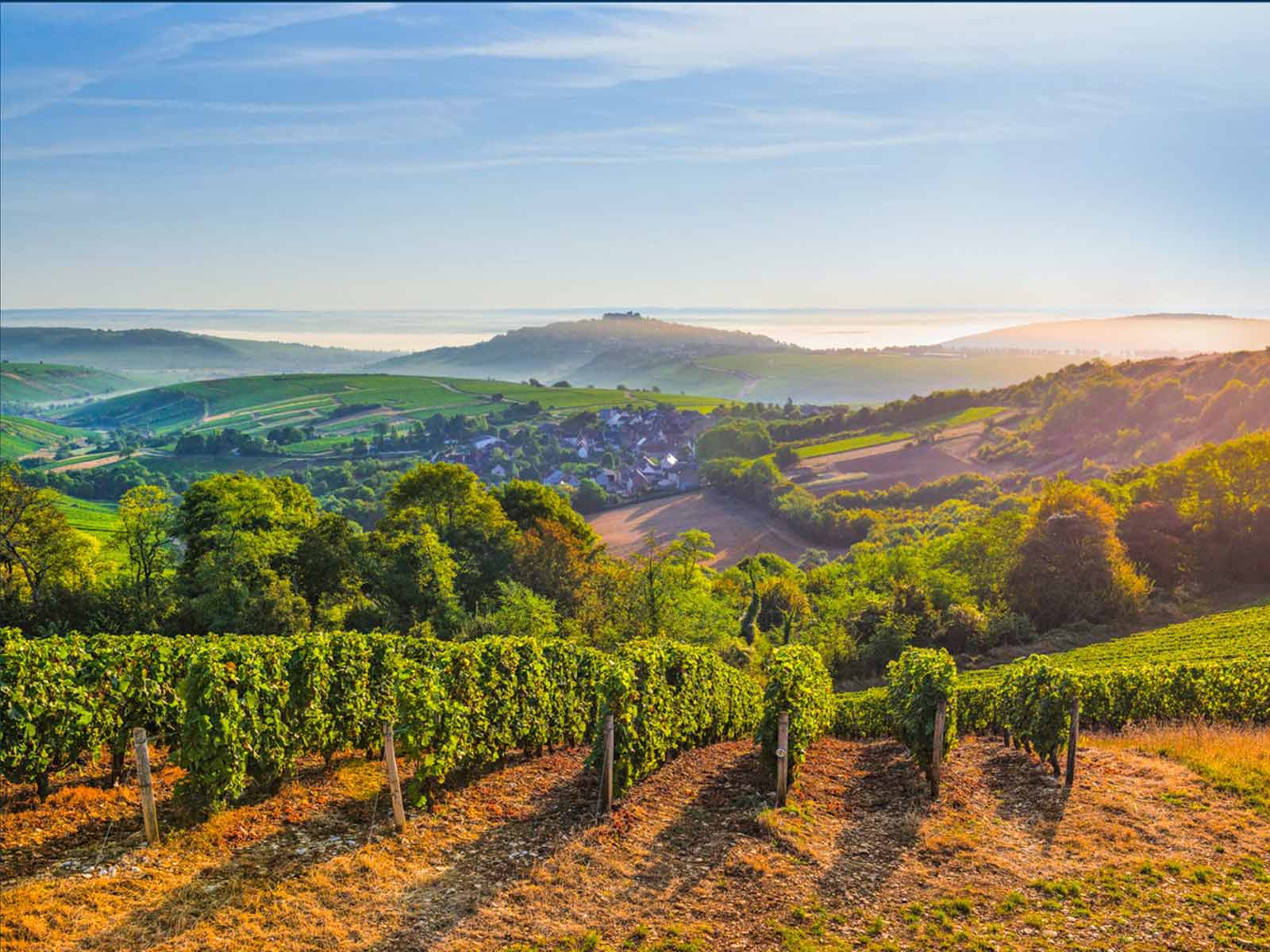 Sancerre Wine Tour From Paris