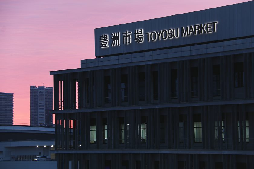 What Your Toyosu Tuna Auction Tour Covers