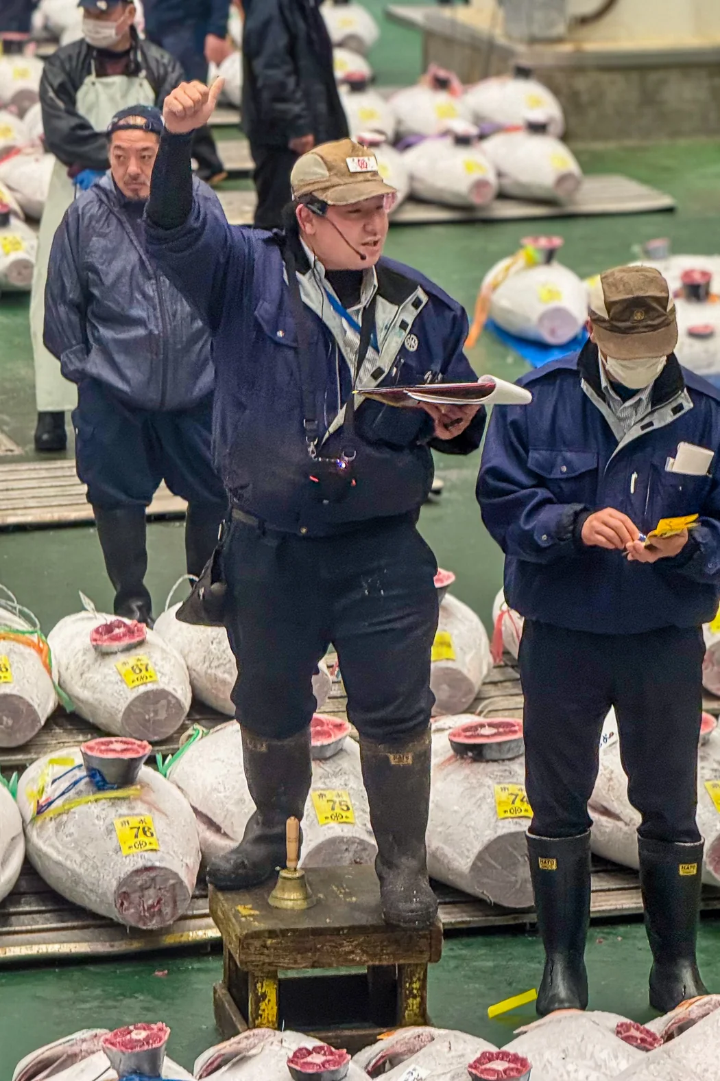 Your experience at Toyosu Tuna Auction Tour