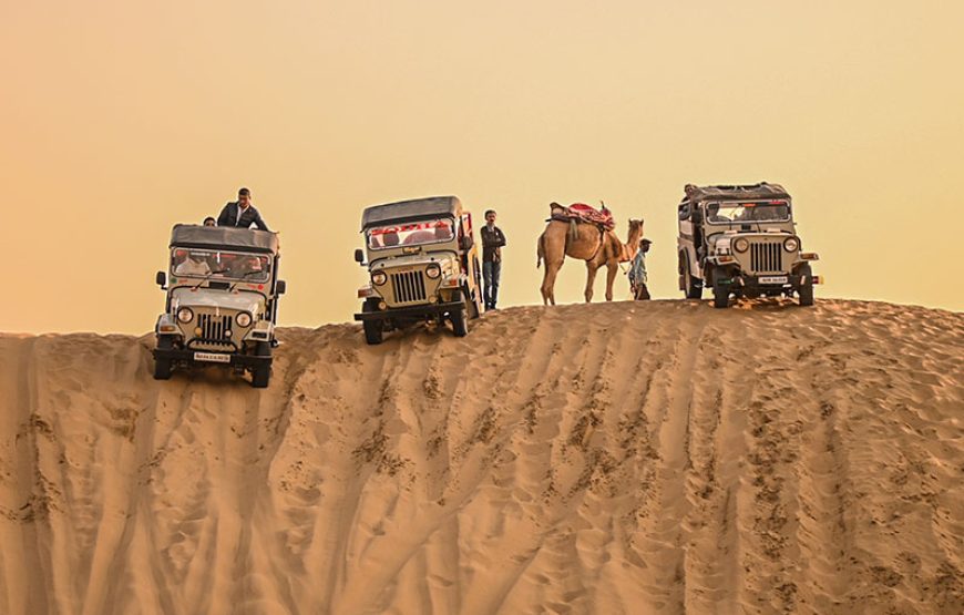 Safari drive