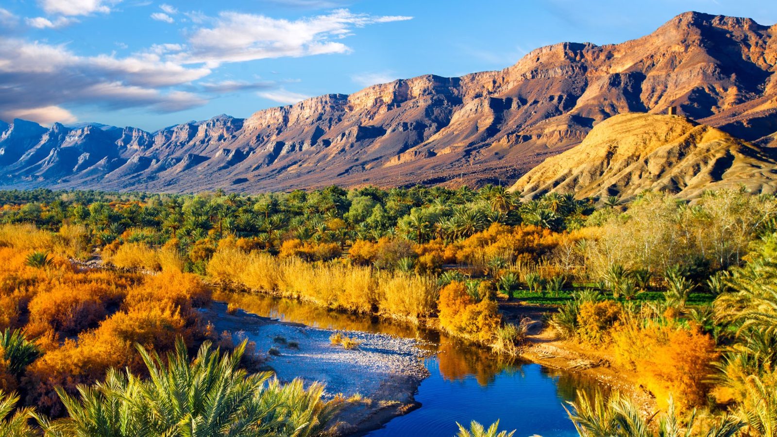 Draa Valley Palm Grove