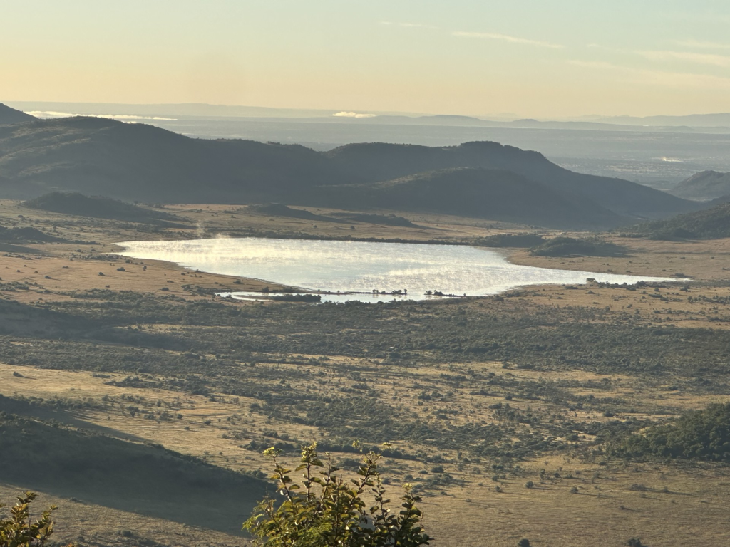 Pilanesberg Safari from Johannesburg: Big Five in an Ancient Crater