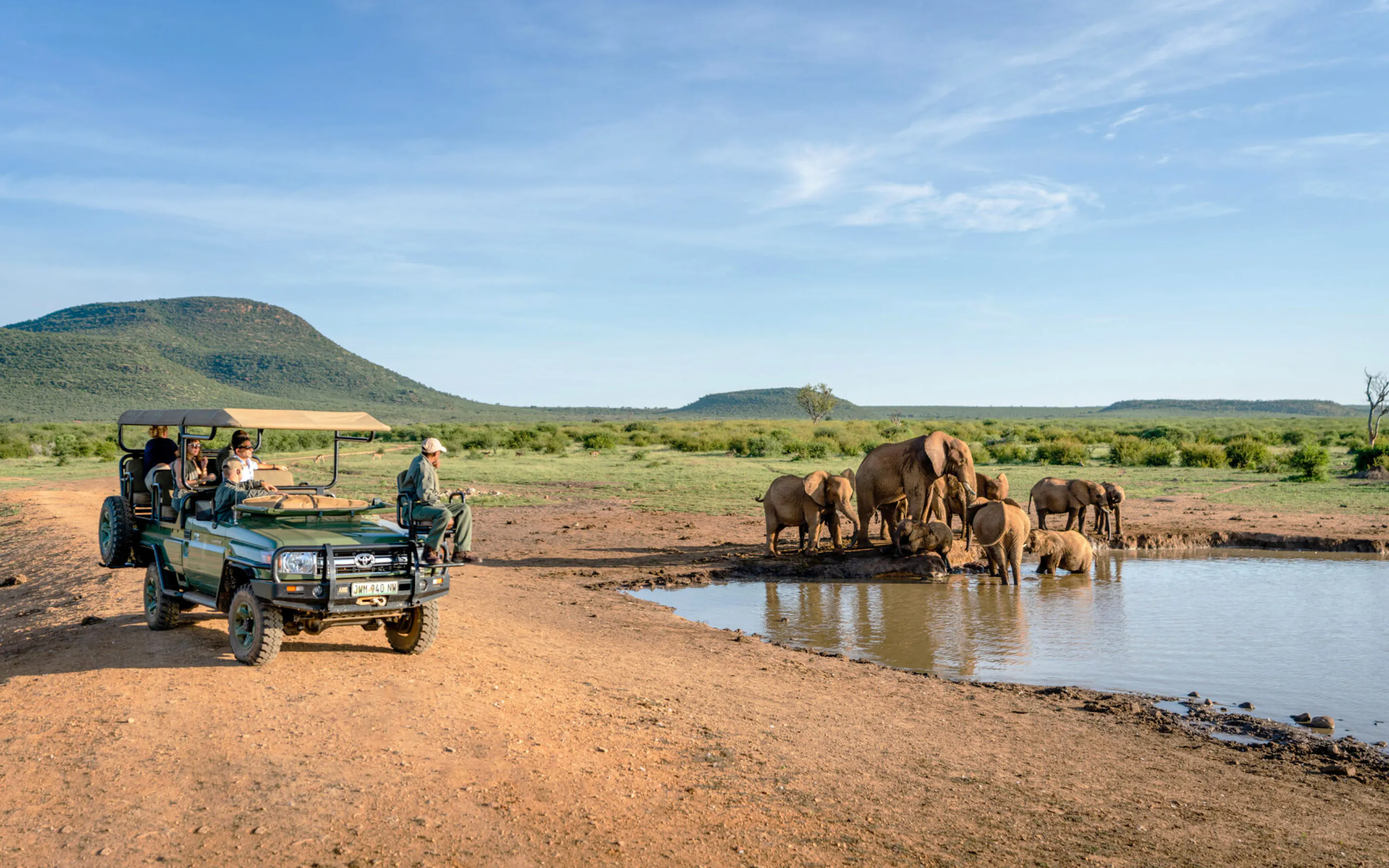 Your experience at Pilanesberg Safari From Johannesburg