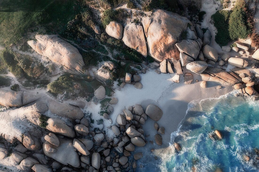 Boulders Beach Cape Town Penguin Tour Guide