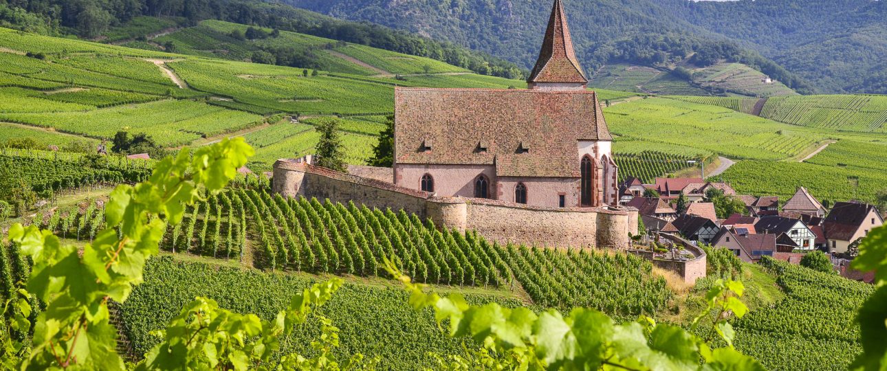 Alsace Wine Tour From Strasbourg
