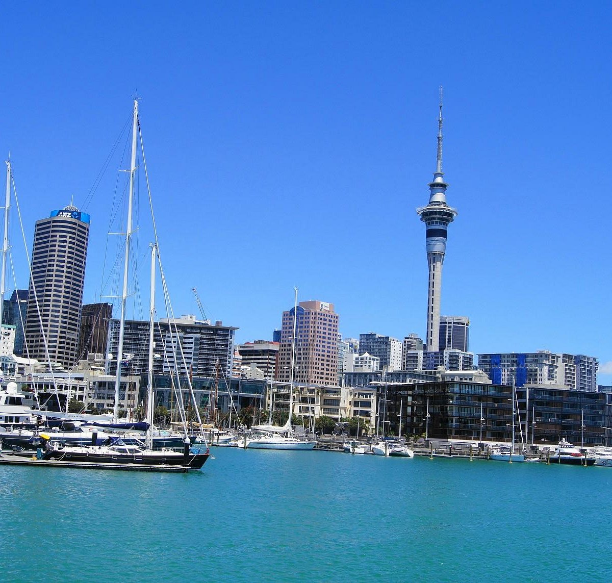 Viaduct Harbour