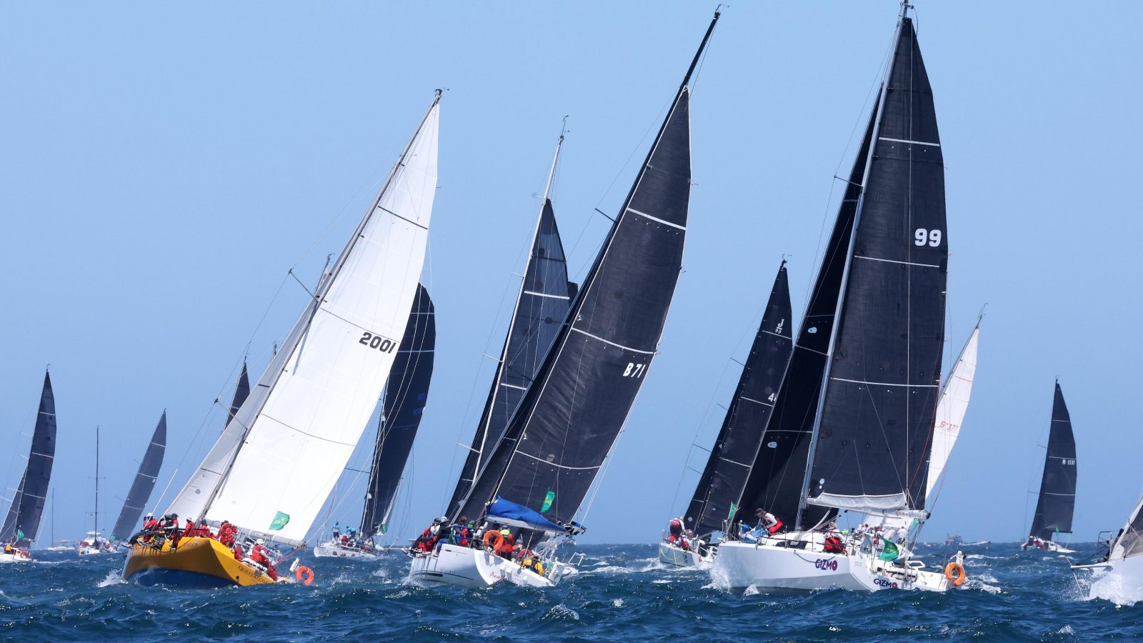 Racing Yachts