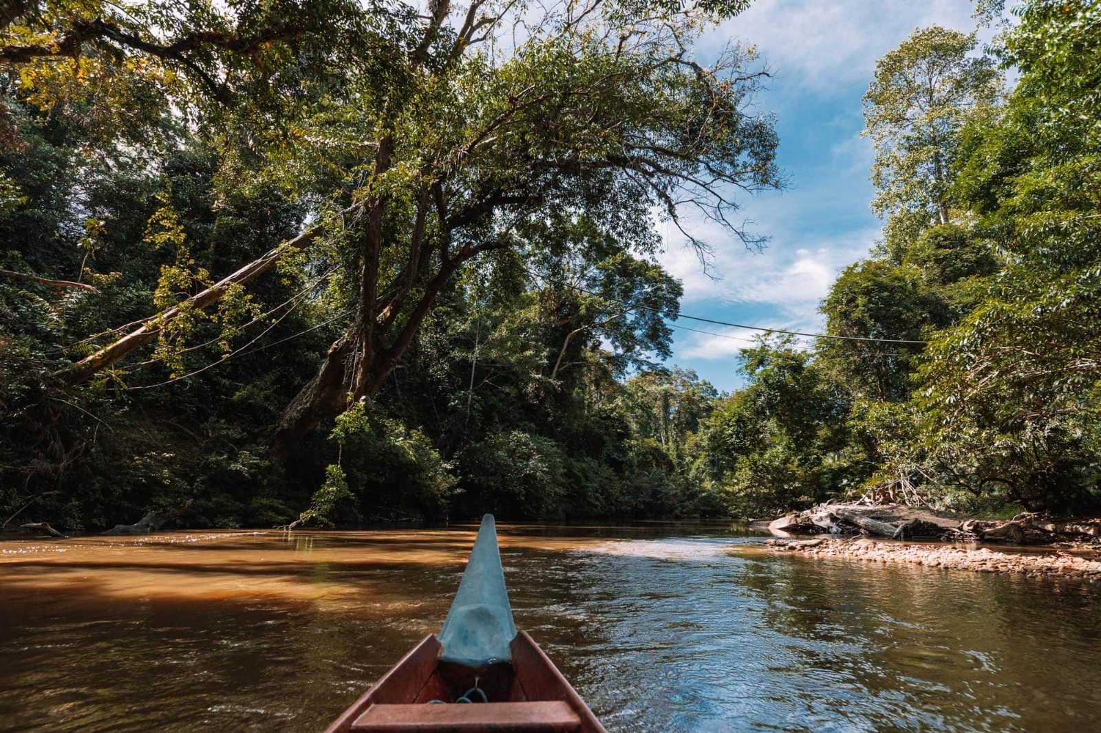 Taman Negara Day Trip From Kuala Lumpur