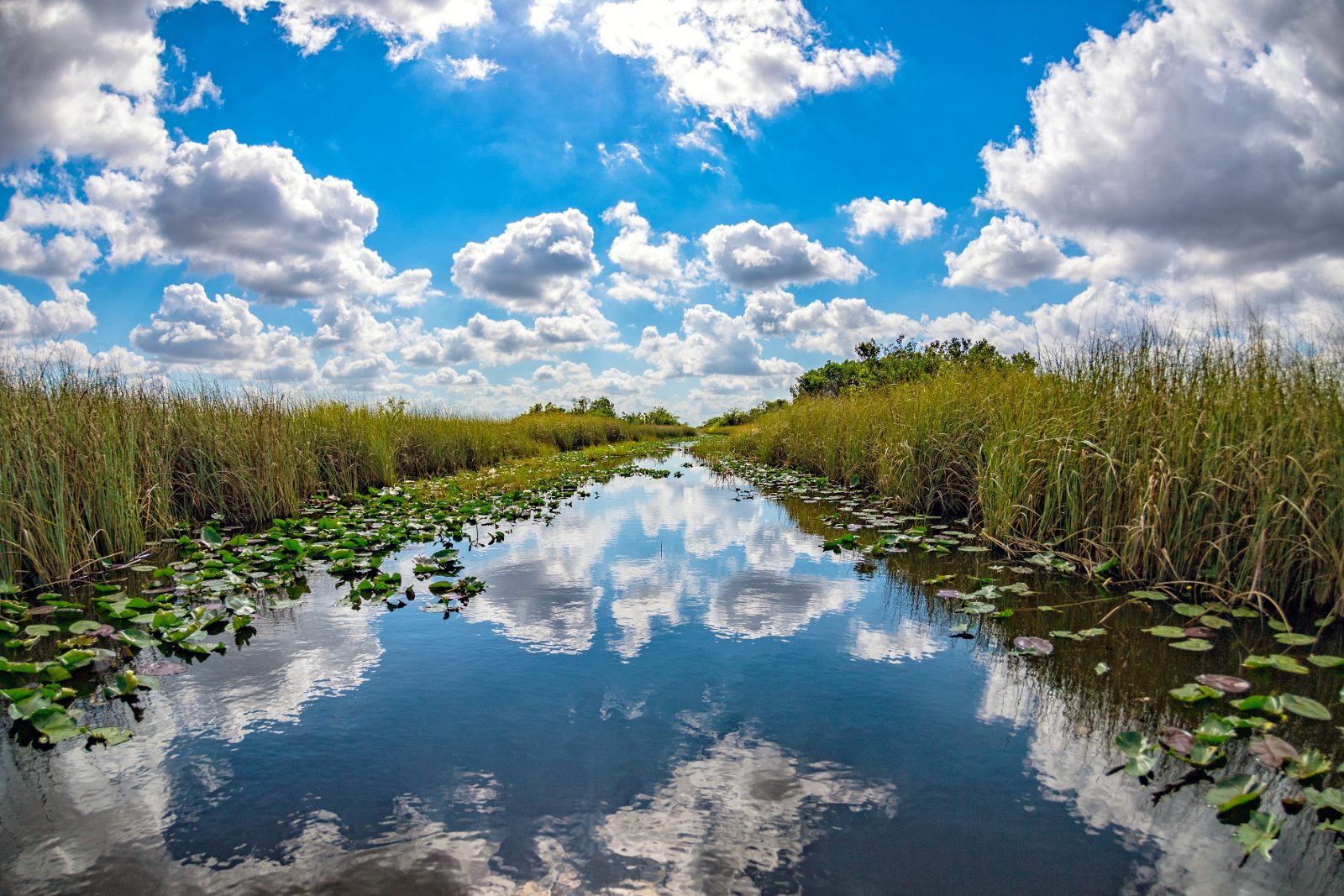 Florida Bay