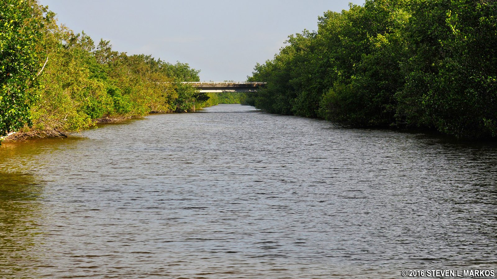 Buttonwood Canal