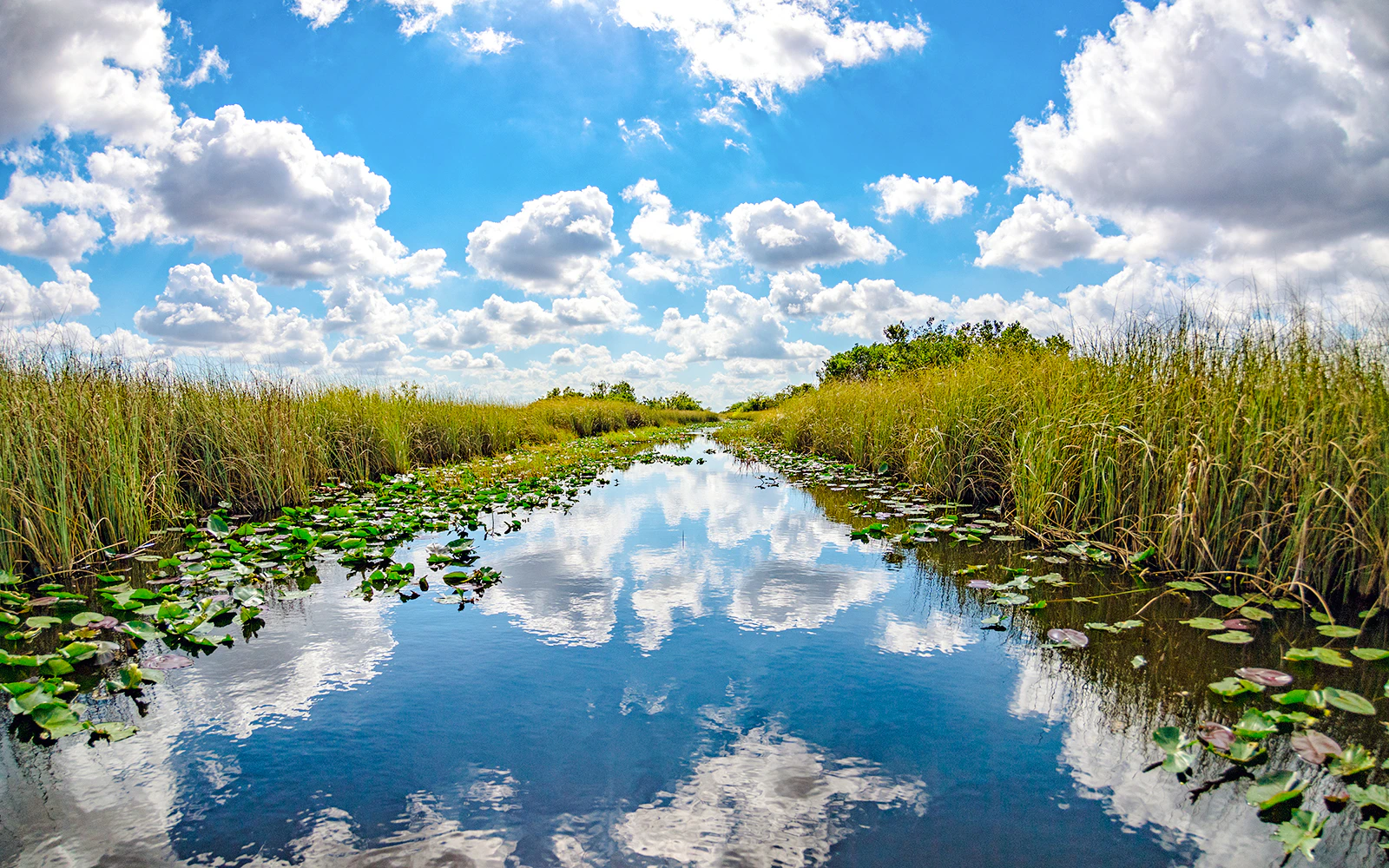 Everglades Kayak Tour: What to Expect