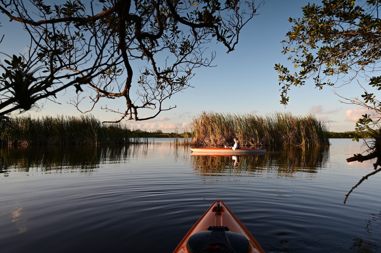 Nine Mile Pond