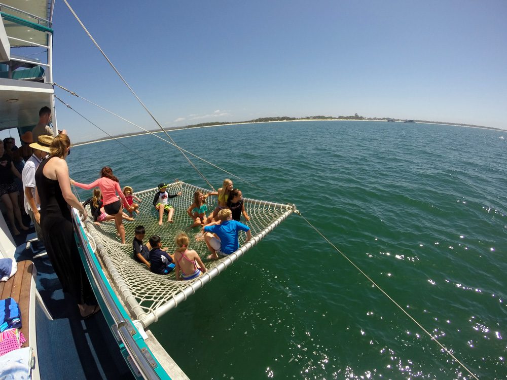 Your experience at Swimming With Dolphins Adelaide