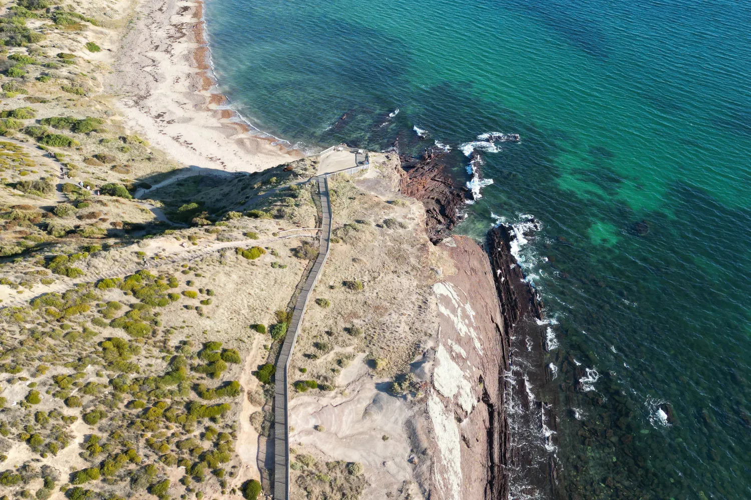 Coastal Habitat