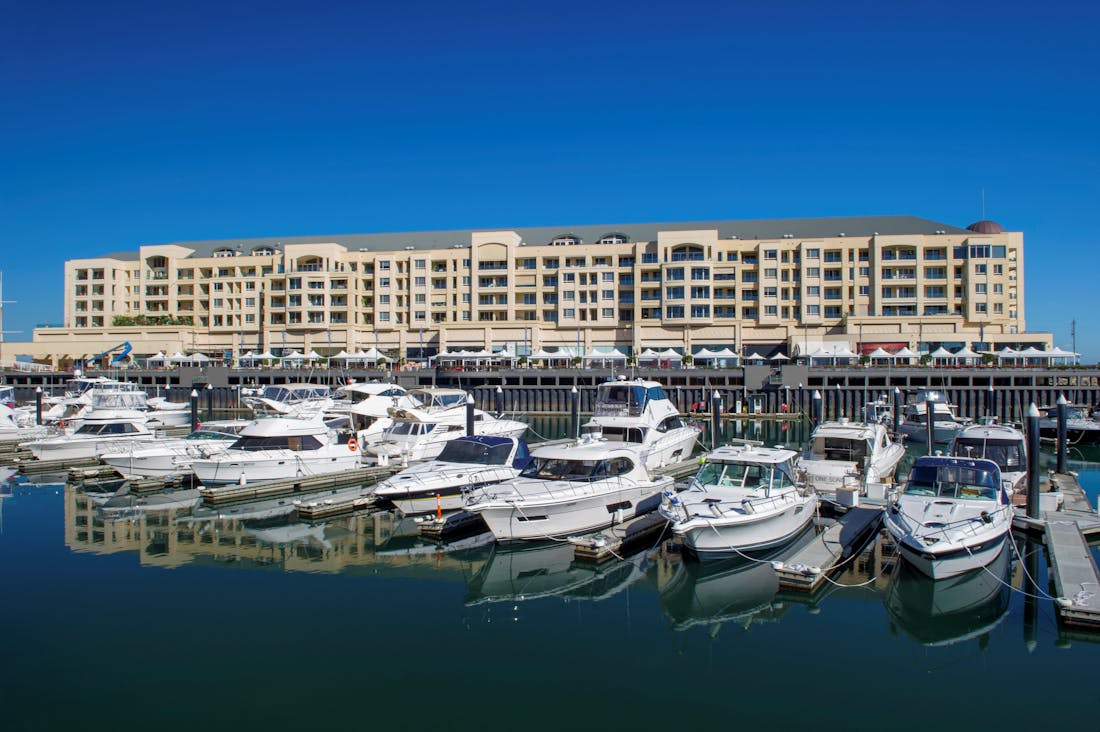 Swimming With Dolphins Adelaide at Glenelg Marina