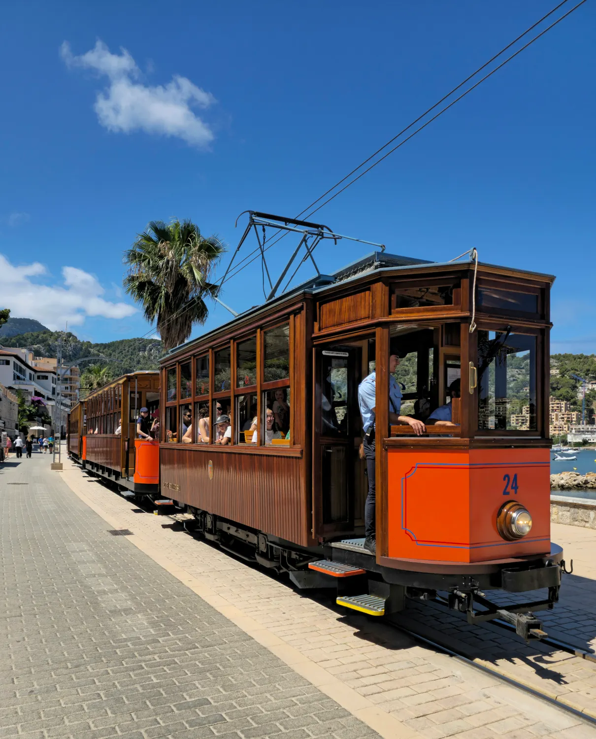 Your experience at Valldemossa and Soller Tour