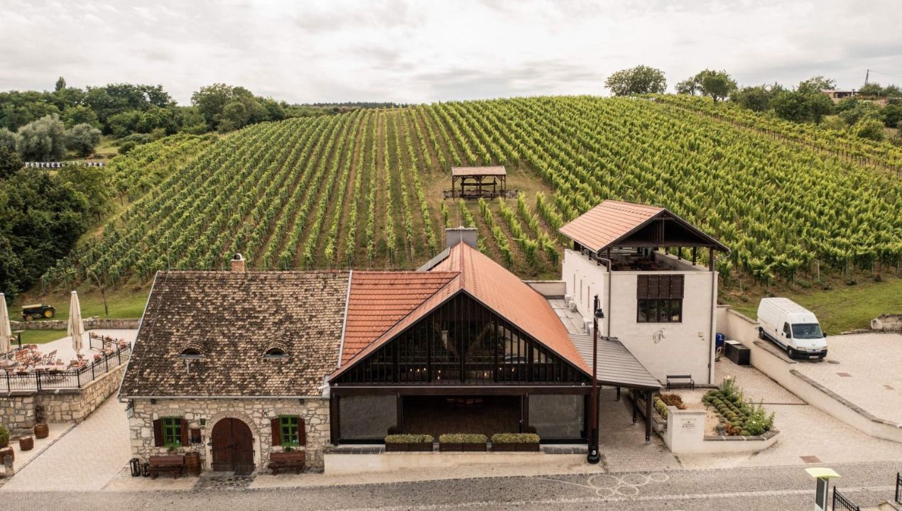 Etyek Wine Tour