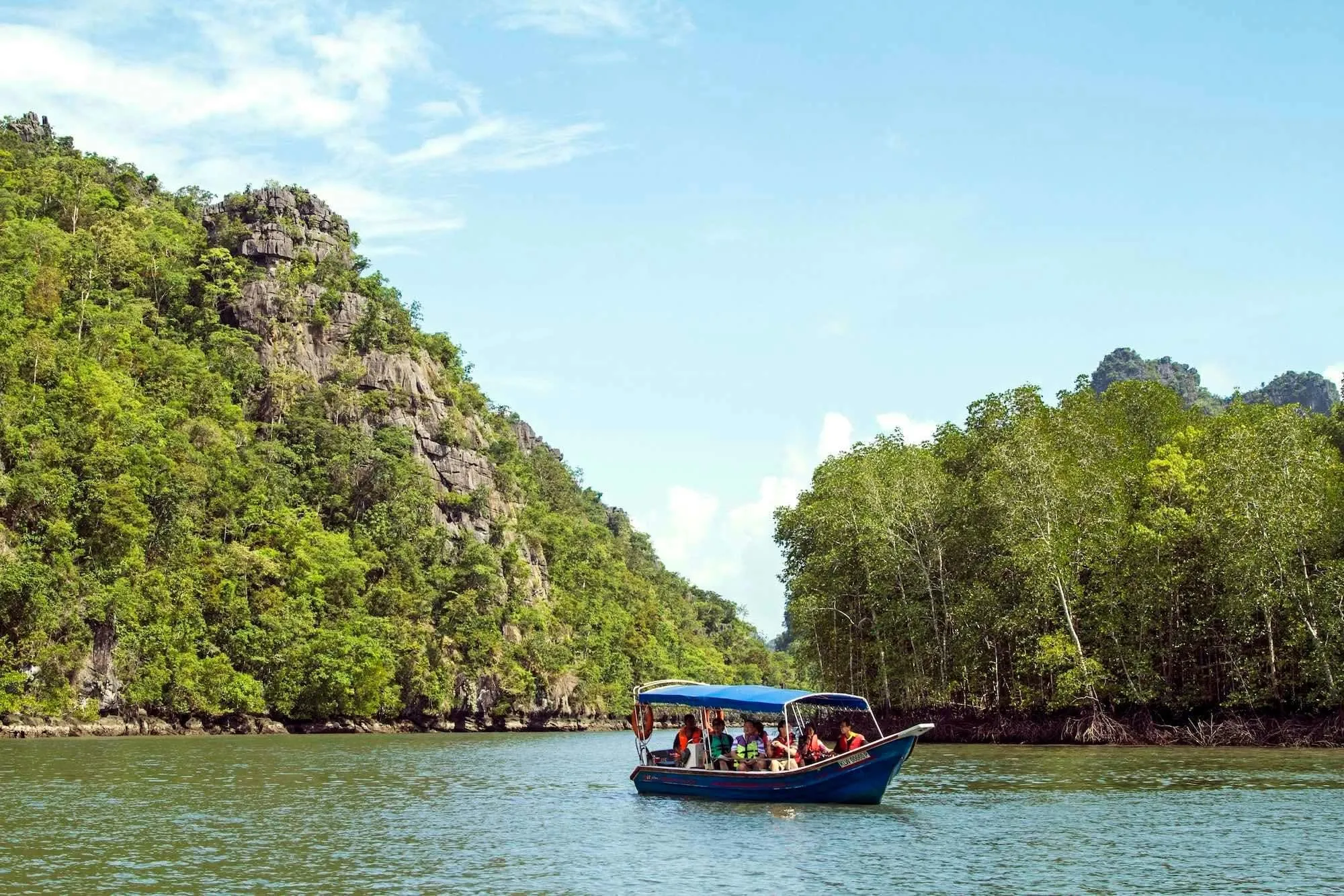 Your experience at Langkawi Mangrove Tour