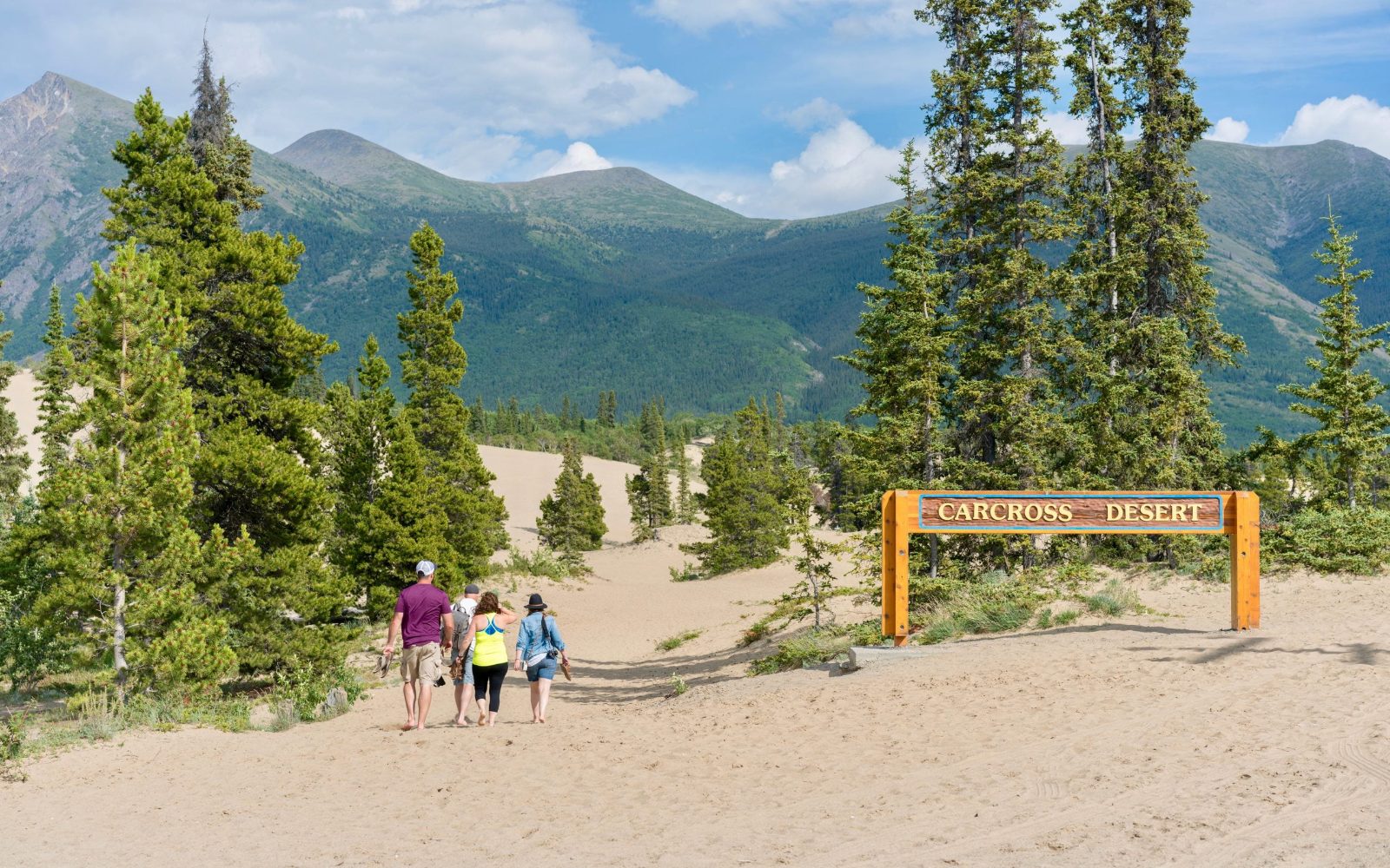 Your experience at Skagway Yukon Tours