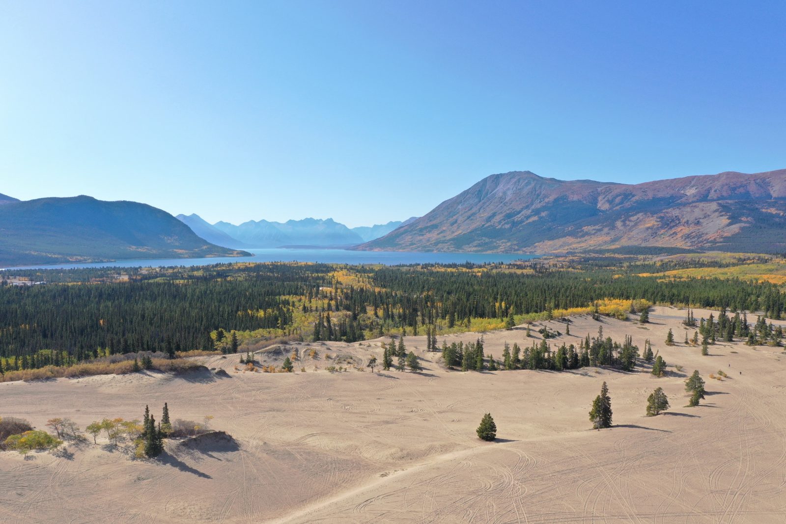 Carcross Desert