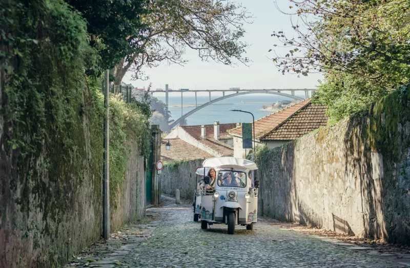 Your experience at Porto Tuk Tuk Tour