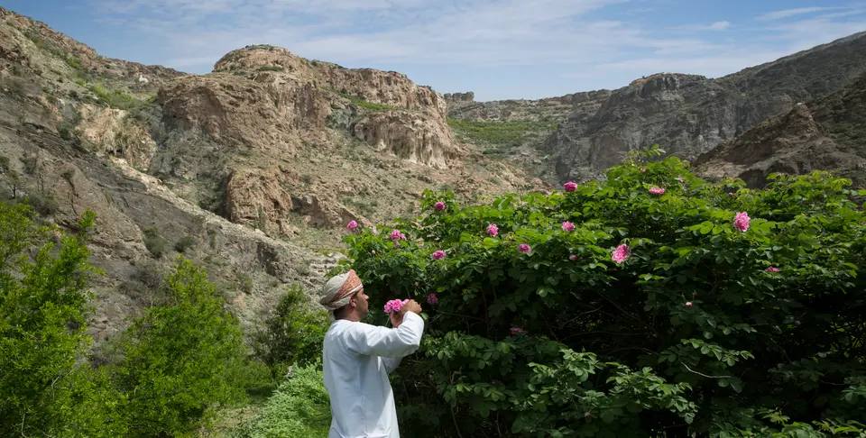 Your experience at Jebel Akhdar Tour From Muscat