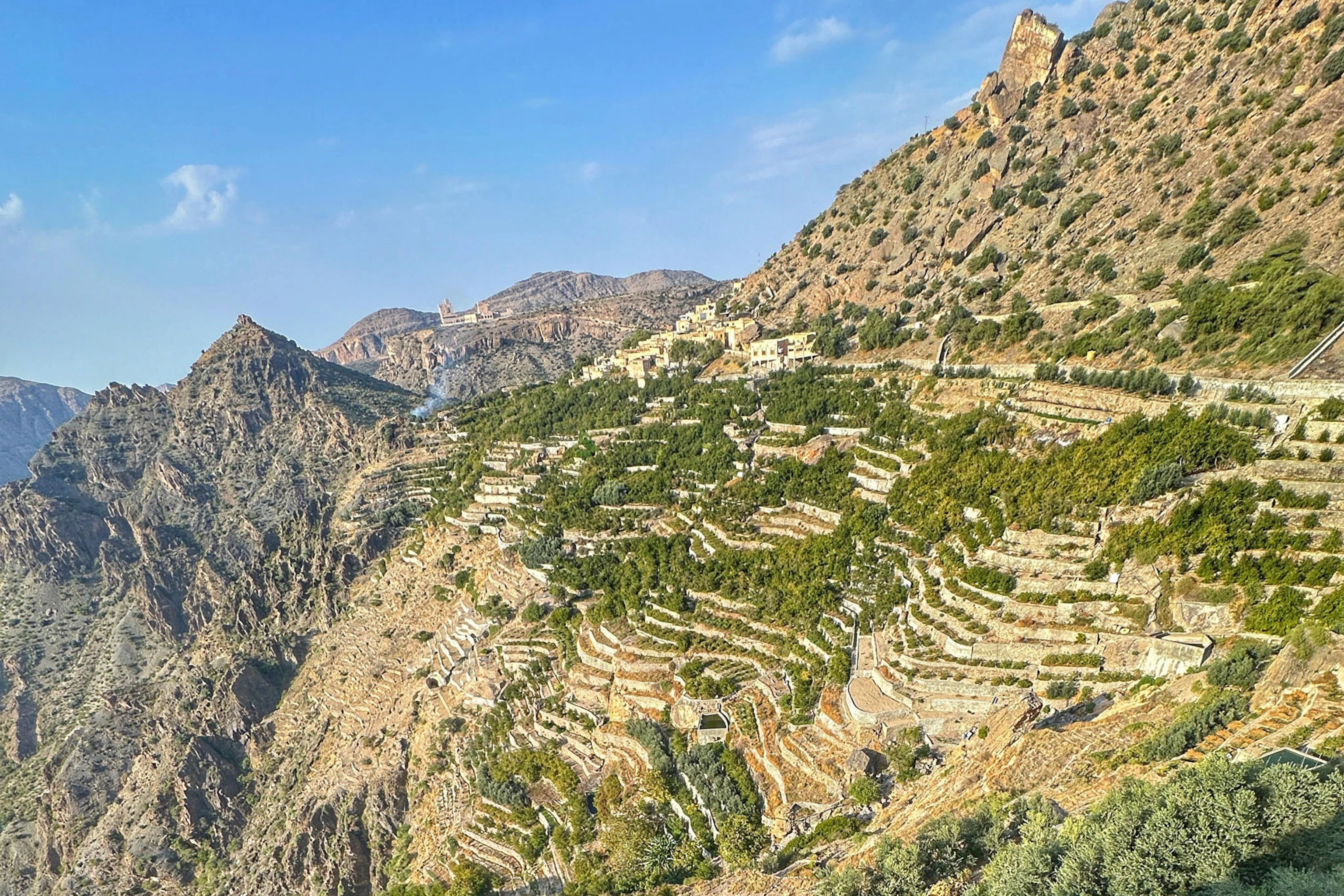 Rose Terraces