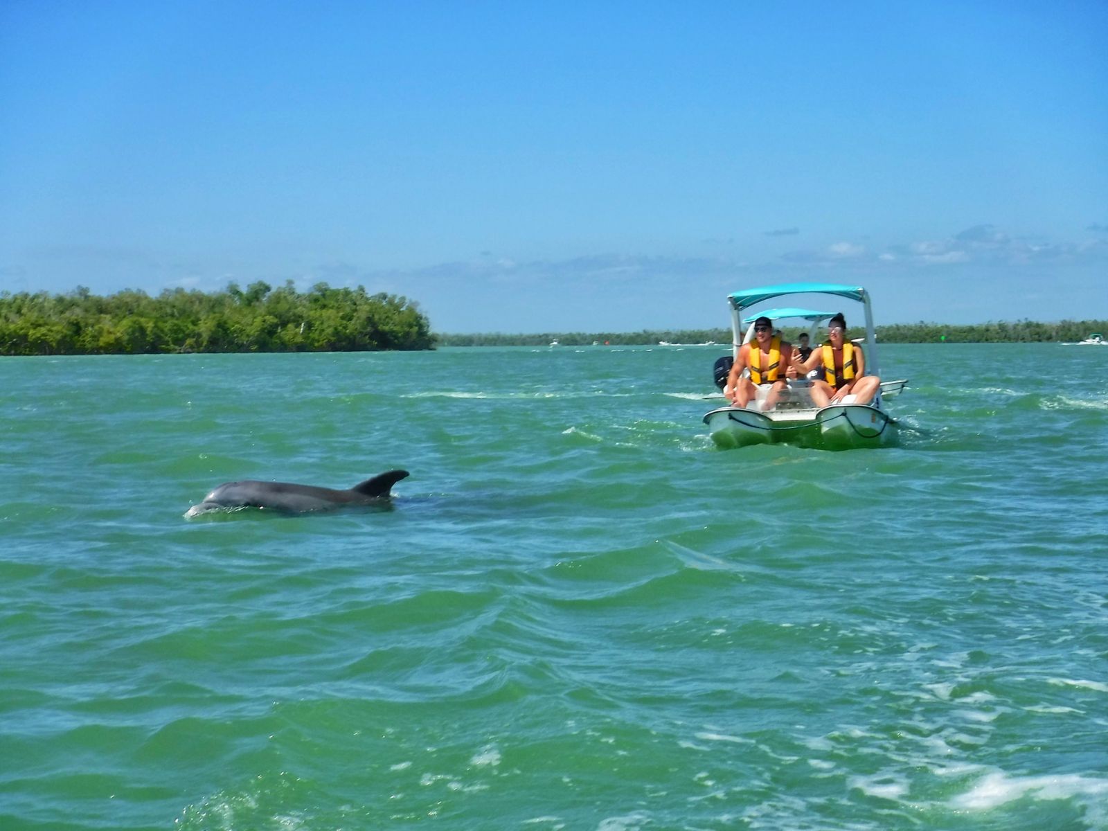 Your experience at Ten Thousand Islands Boat Tour