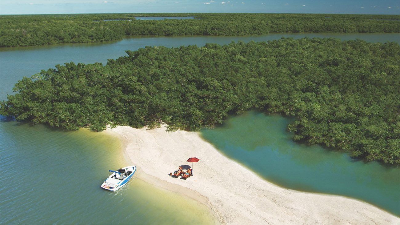 Ten Thousand Islands Boat Tour