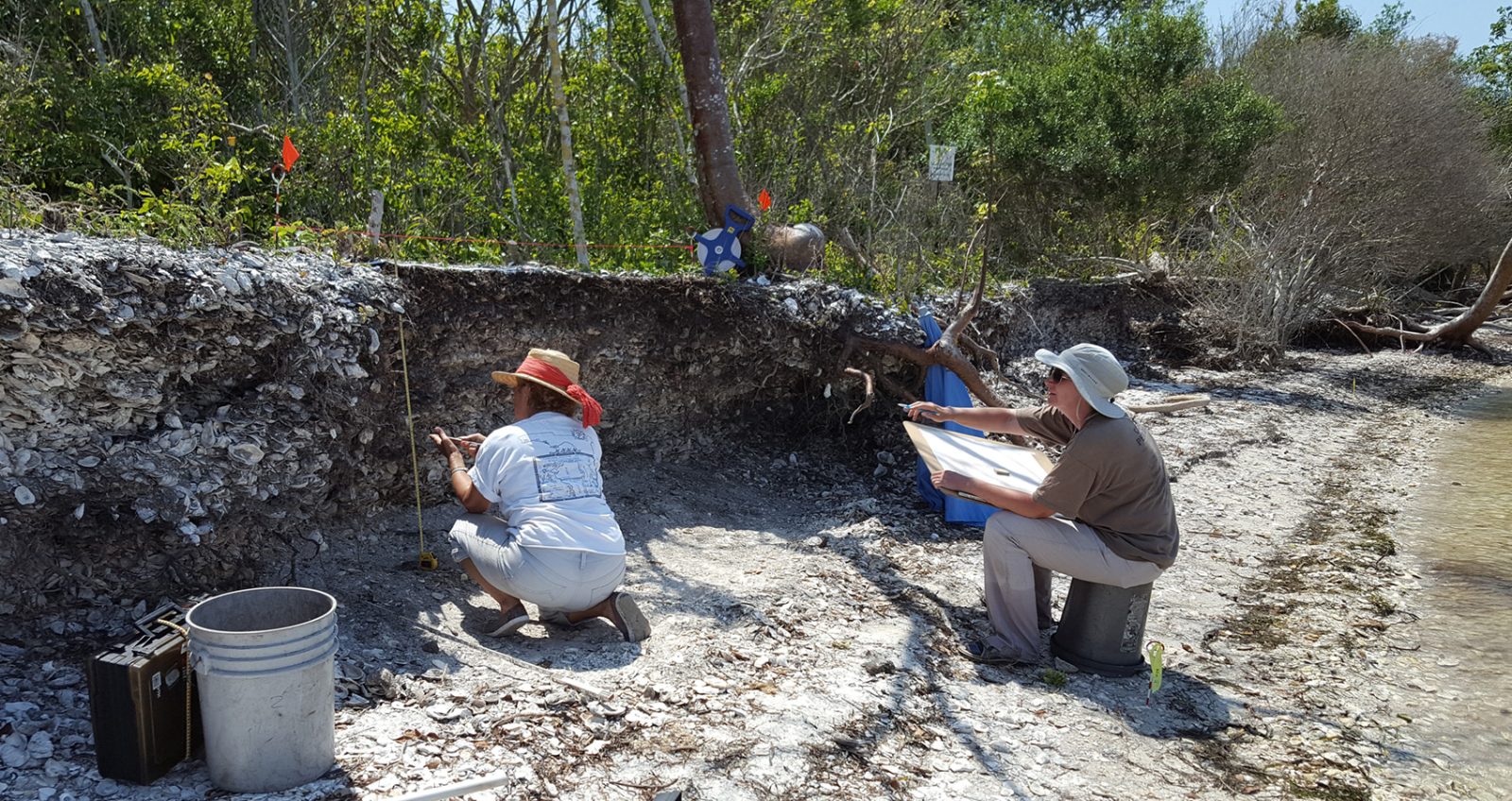 ;Calusa Shell Mounds