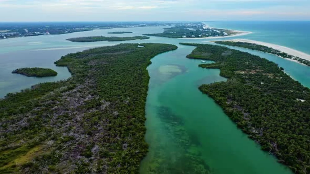 Ten Thousand Islands Boat Tour from Marco Island