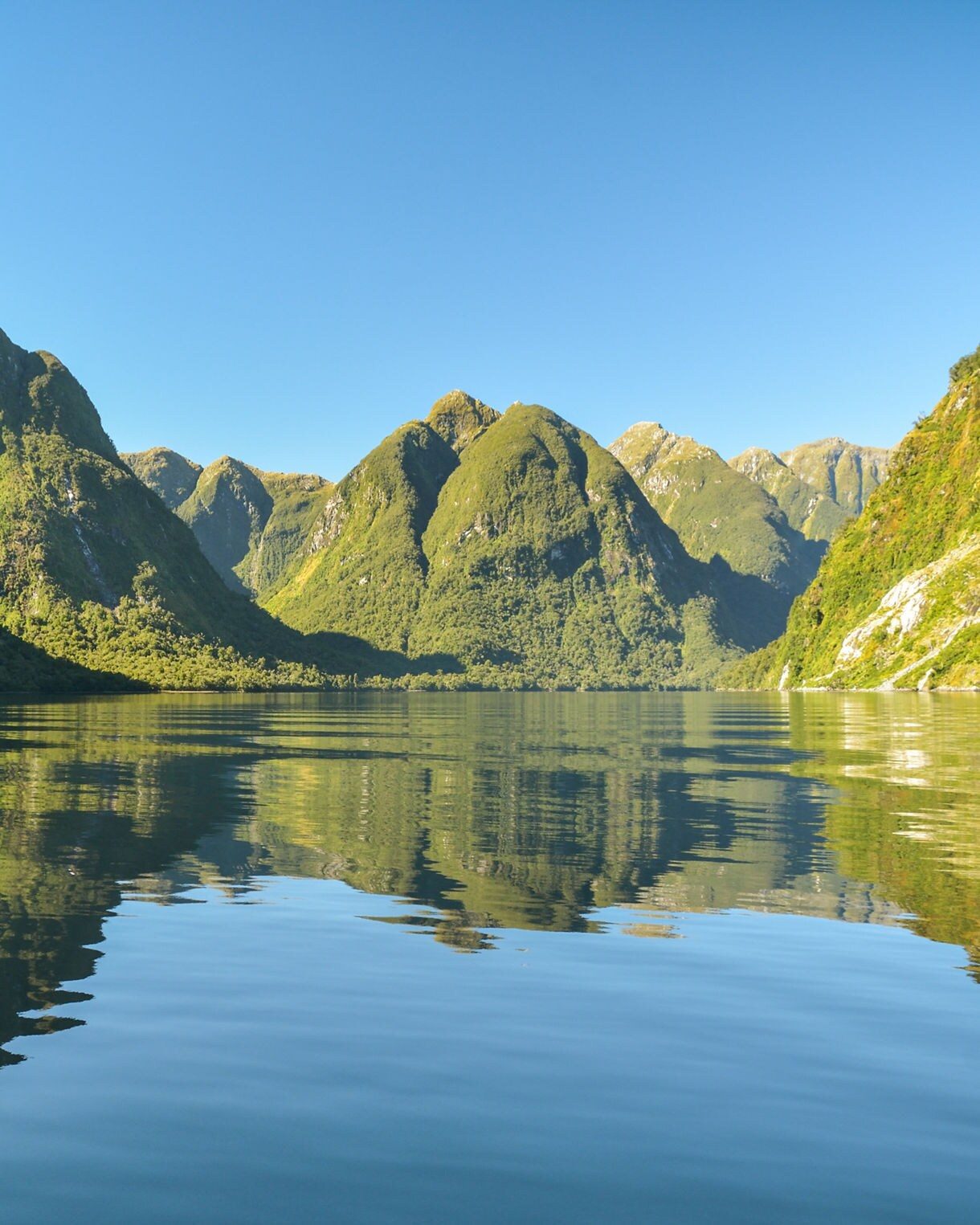 Doubtful Sound Cruise from Manapouri: Fiordland's Quiet Fiord