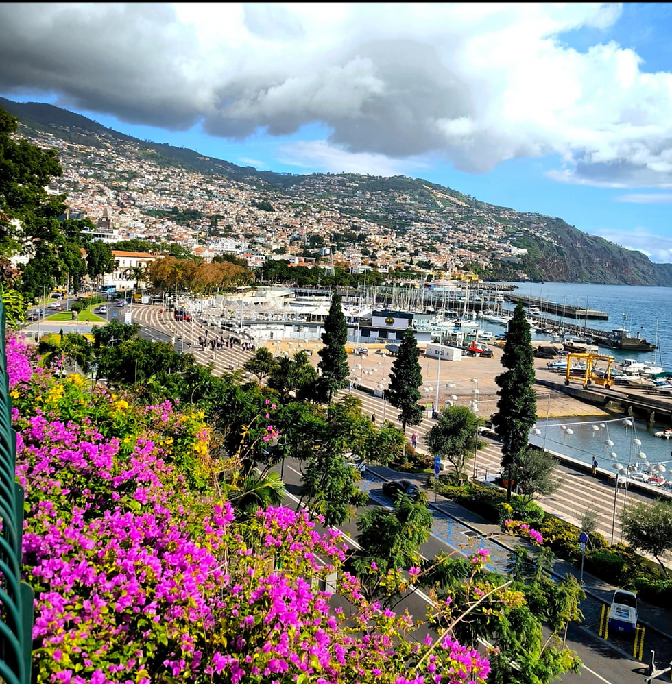 Funchal Harbor Views