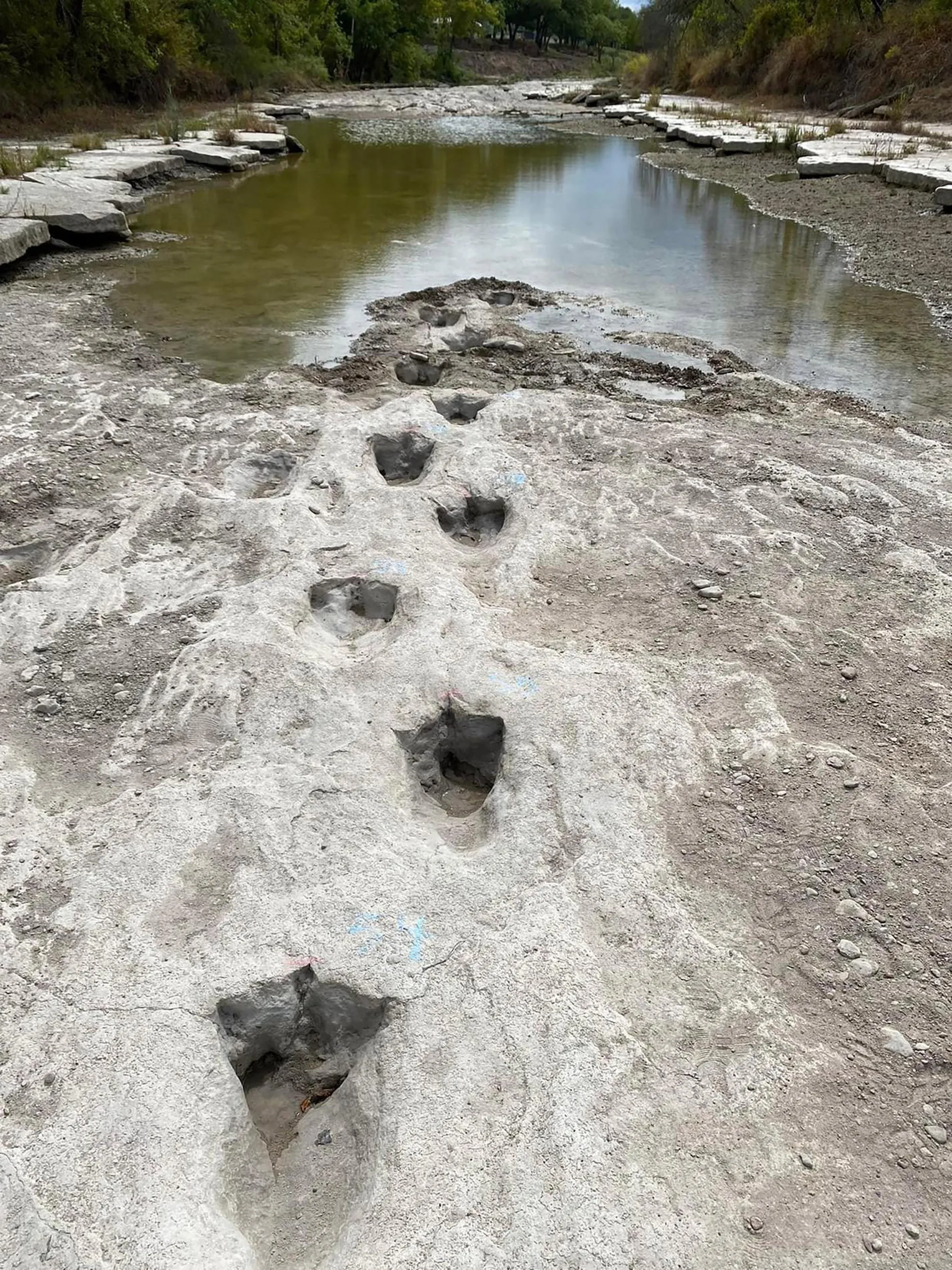 Fossil Riverbed