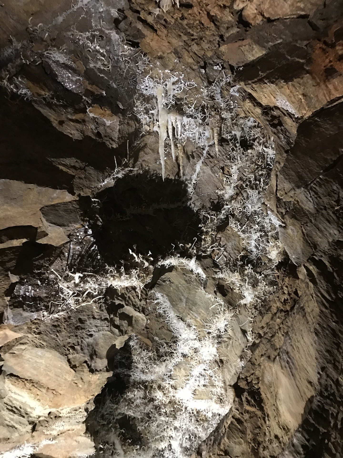 Helictite Chambers