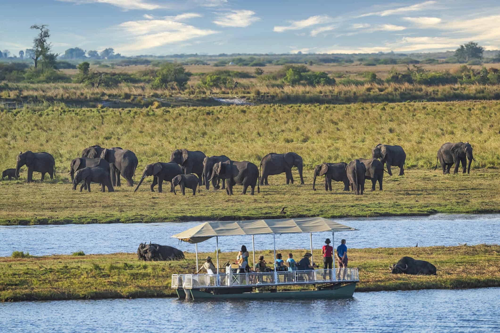 Your experience at Chobe Day Trip From Victoria Falls