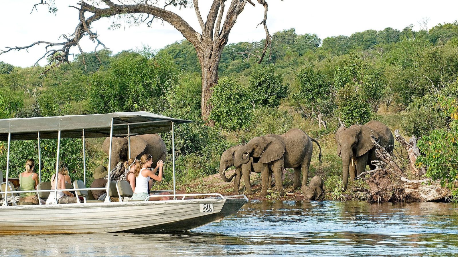 Chobe Day Trip From Victoria Falls