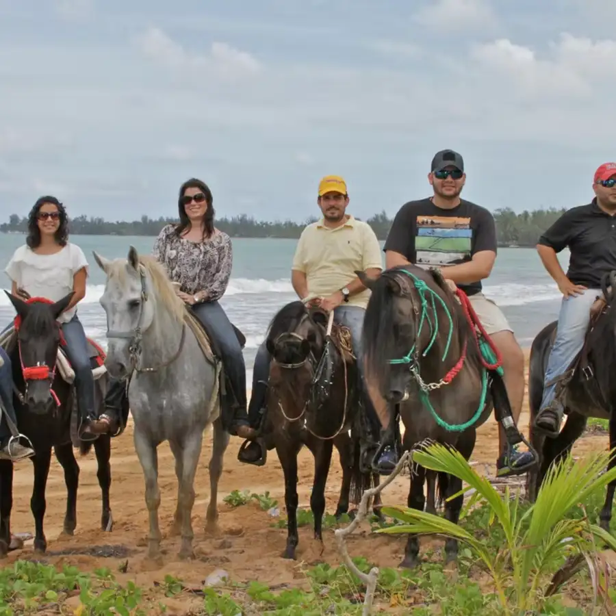 Beach Horseback Riding Puerto Rico