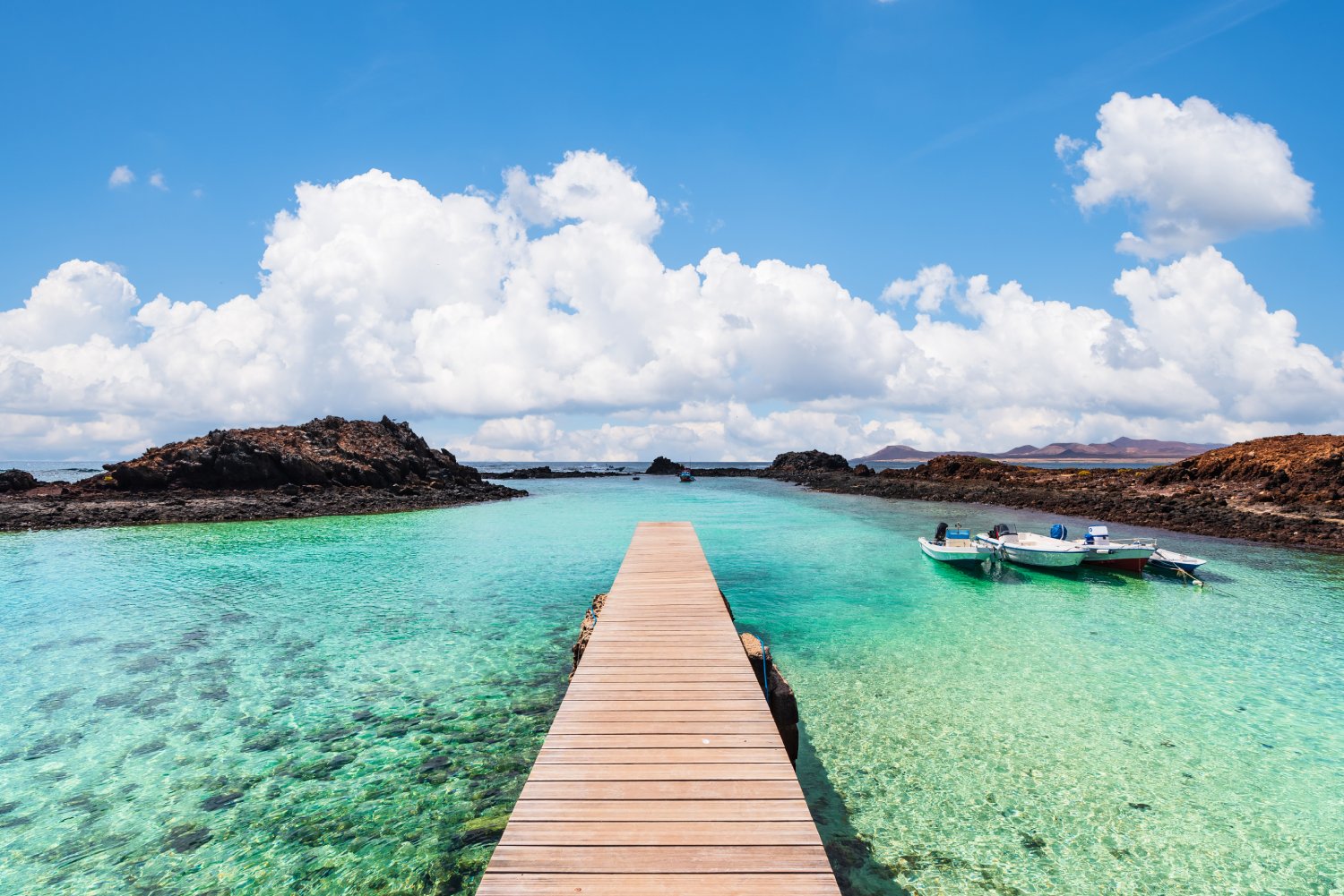Isla de los Lobos