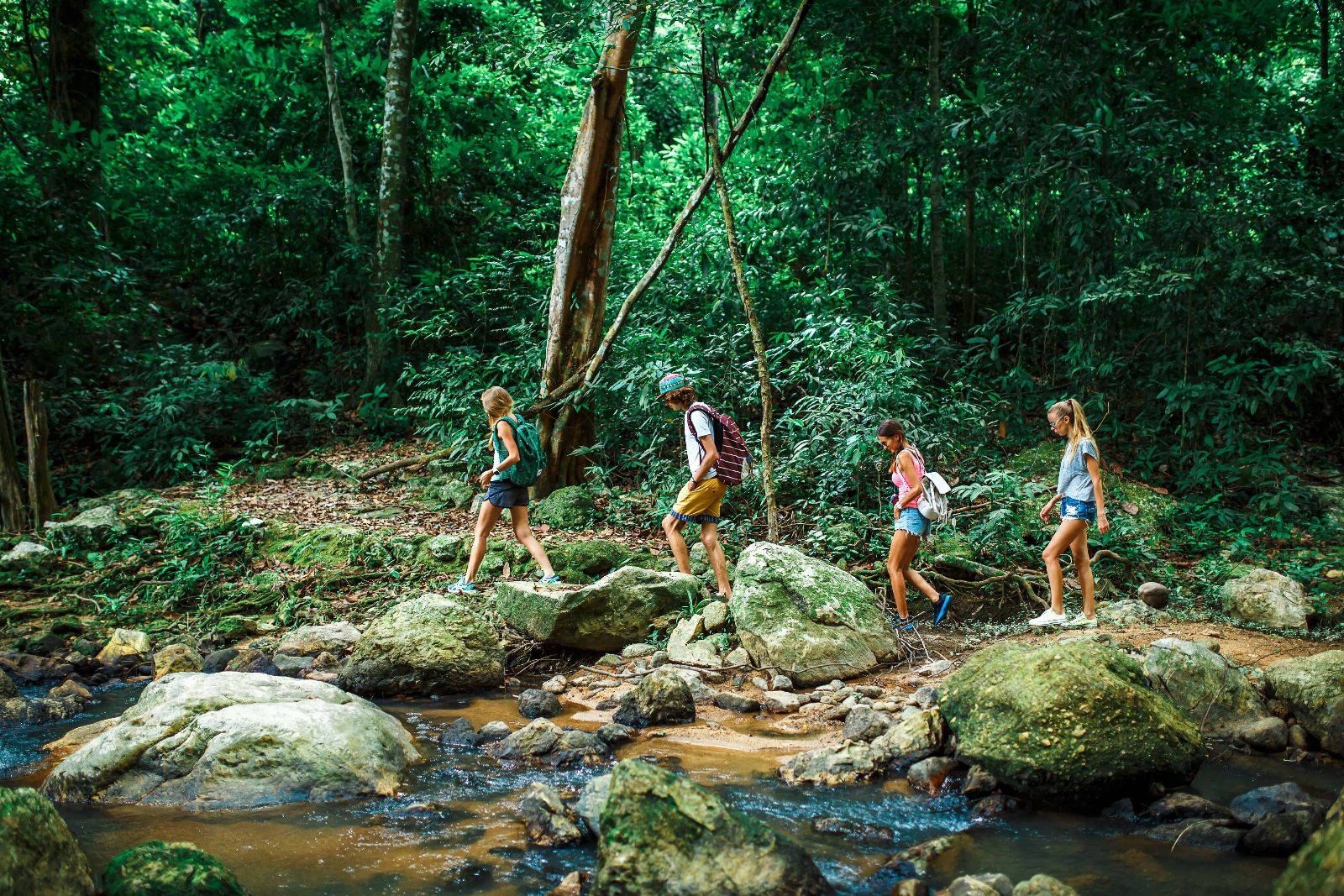 Rainforest Hike