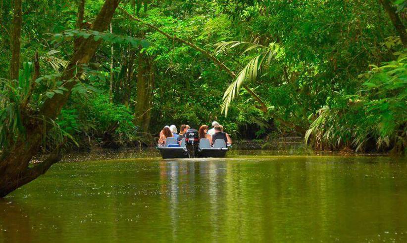 Your experience at Tortuguero Day Trip From San Jose