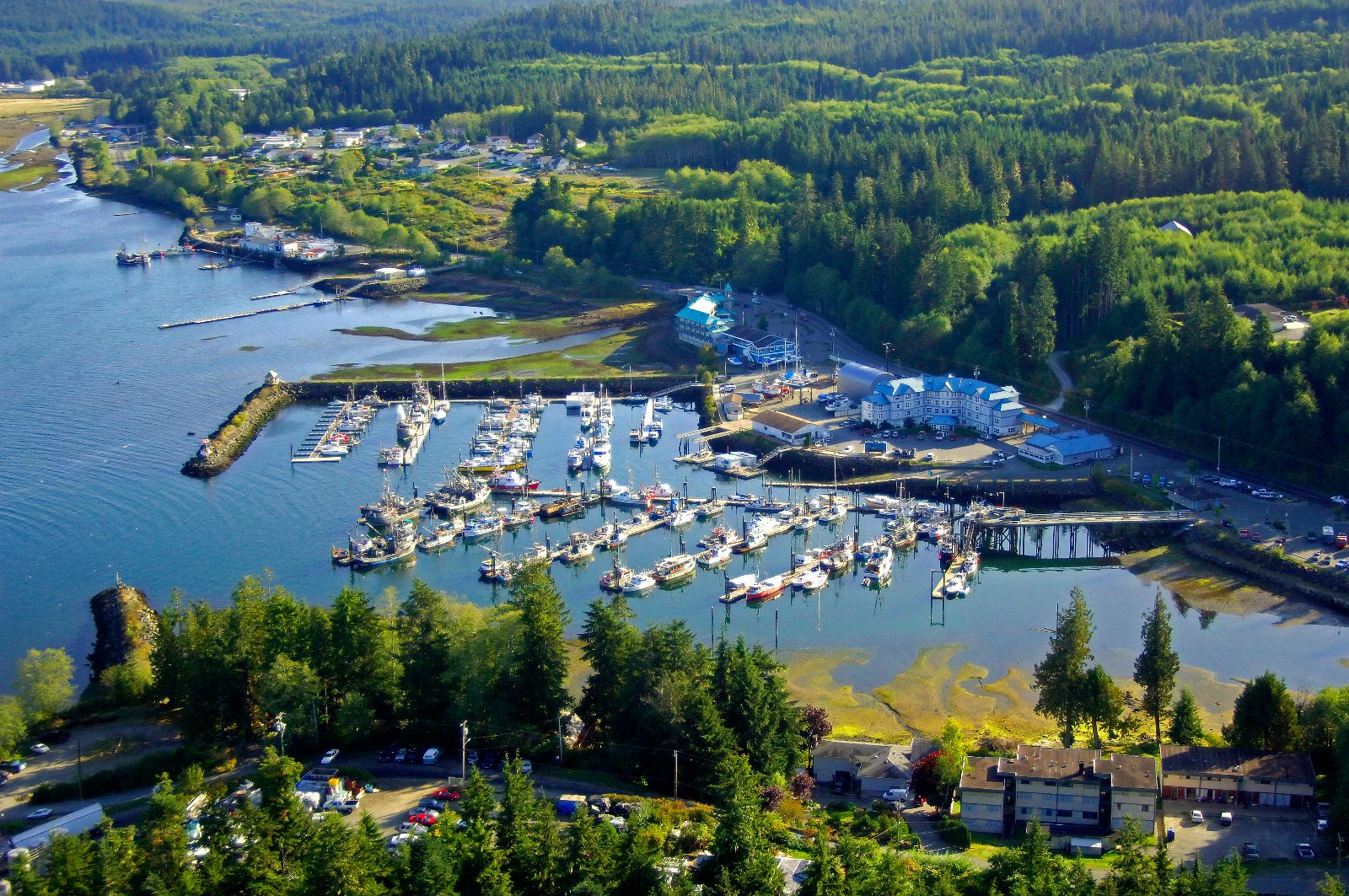 Port Hardy Whale Watching on Queen Charlotte Strait